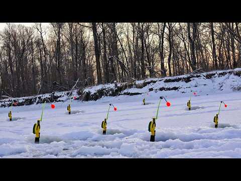 ГОРА РЫБЫ! ЯМА ЗАСТАВЛЕНА КОМБАЙНАМИ! 3 ДНЯ В ПАЛАТКЕ С КОМФОРТОМ!  🐟