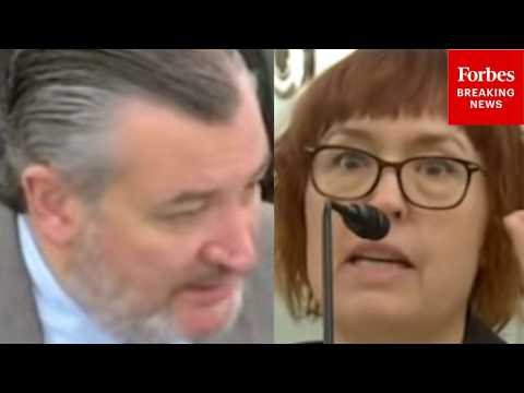 Cruz Asks Lawyer: 'What Is The Worst Or Most Offensive Use Of Section 230 As A Liability Shield?'