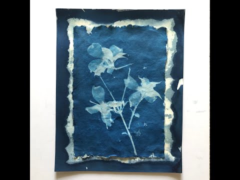 Create Two Cyanotype Prints in One Session!