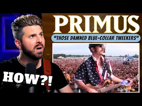Bass Teacher REACTS to PRIMUS - "Those DAMNED Blue-Collar Tweekers" (Live from Woodstock '94)