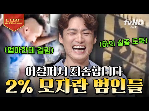 [#프리한19] 어딘가 많이 어설픈데...? 너무 허술해서 더 믿기지 않는 사건들 모음🤣 | #티전드