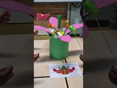 Le GROS Problème des Villes #écologie #jardin #city #animaux