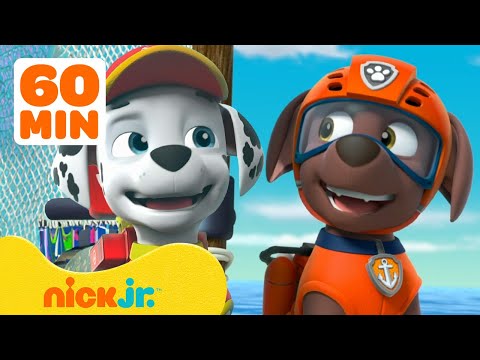 PAW Patrol Helps Adventure Bay Animals! w/ Marshall, Zuma & Skye | 30 Minute Compilation | Nick Jr.