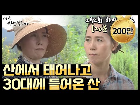 [20-Minute Replay] "I Am a Naturalist: Born in the Mountains, Entered the Mountains in My 30s" Hi...