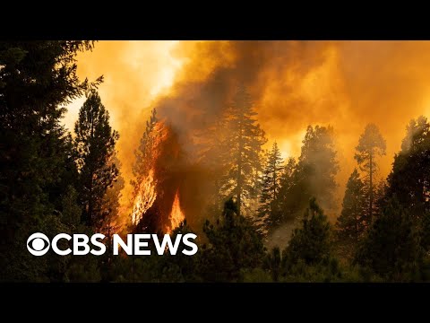 Videos show Park Fire's destruction in Northern California