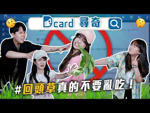 六大NG的聊天方式｜回頭草真的不要亂吃｜ 有女生也不想辦婚禮嗎｜男女之間如何開話題【Dcard尋奇EP89】｜Dcard.Video