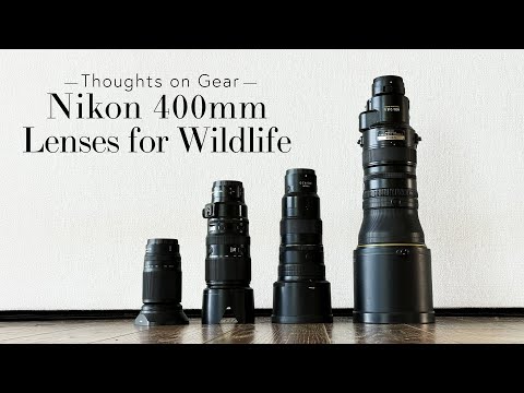 Nikon 400mm Lenses for Wildlife Photography