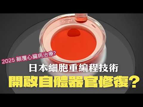 How Japan's Nobel Prize Tech Reverses Aging in Cells | iPS Stem Cells Explained