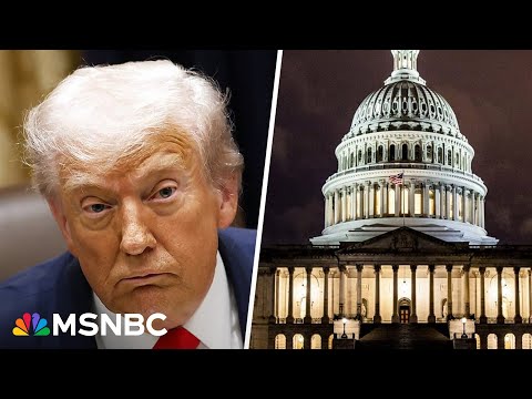 Trump ‘missing in action’ as deal to send shutdown gains steam in Senate: Dem Rep.