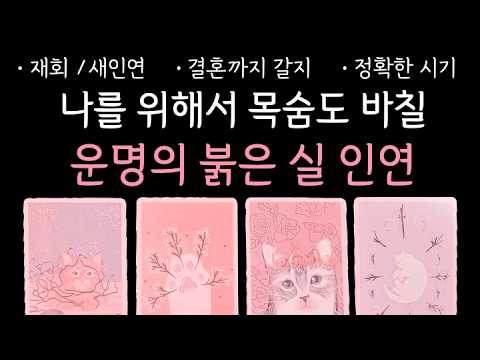 타로 | 결국, 운명으로 맺어질 당신의 붉은 실 인연을 알려드립니다 | 구페 or 뉴페 | 궁합 | 속마음 | 정확한 시기