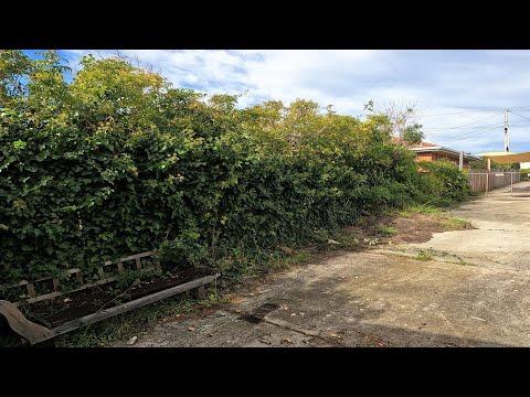 Almighty DISASTER cut Absolutely Free for NICE CUSTOMER (We Were Happy to Help)!