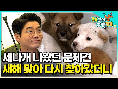 #댓글이벤트 🎉세나개 신년특집🎉 막장 견생을 살다가 설쌤과 세나개를 만나고 180도 바뀐 반려견들! 방송 출연 후 잘 지내고 있을까?│#왜그러냥귀엽개