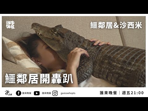 【公視 誰來晚餐 13-20】鱷鄰居開轟趴：家有50種動物的@crocosashimi ｜Guess Who: Crocodile Party