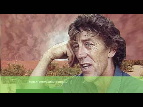 Регенерация - выпуск первый