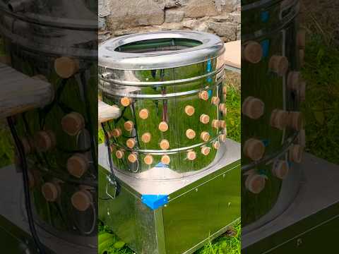 🐔 #chicken#homestead #homesteading #machine #farming