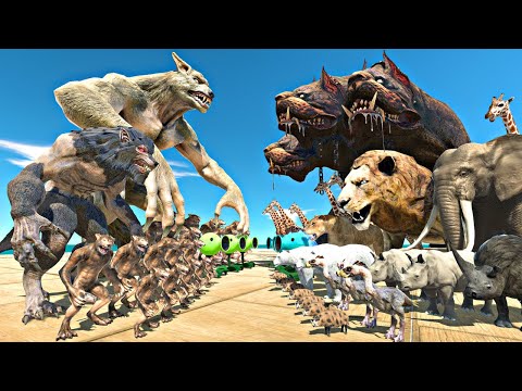 Werewolf Team Fights Animals | Three Headed Dog vs Werewolf - Animal Revolt Battle Simulator