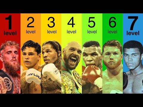 The 7 Levels of Boxer