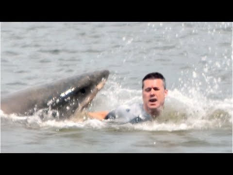 These Men Never Made It Out of The Water Alive | Shark Attack Marathon