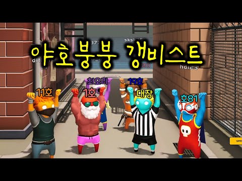 ㅈㄴ어지러운 부산사나이들의 갱비스트