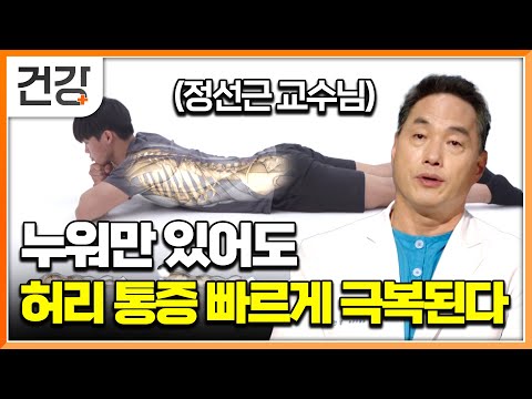"요추 전만 이것만 기억하세요" 허리도 재생이 가능하다는 것 아시나요? 국내 최고 허리 명의 정선근 교수님의 허리 통증 자가 치유법｜명의｜#EBS건강
