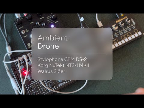 Sequencist - Ambient Drone w/ Stylophone CPM DS-2 Korg Nutekt NTS-1 MKII & Walrus Slöer