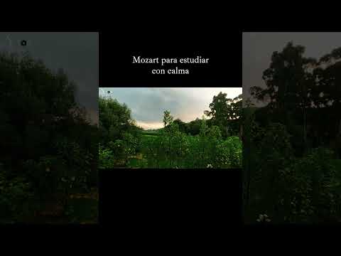 Mozart para estudiar | Un momento de enfoque #Mozart #MusicaClasica #StudyMusic #CalmMusic #Yutori