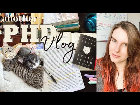 Grad School Week in My Life: Paper Editing, Comps Exam Results, and Kittens!