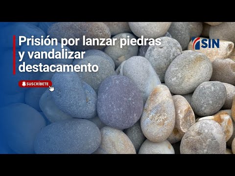 Prisión por lanzar piedras y vandalizar destacamento