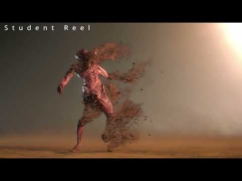 #Houdini#Student FX demoreel