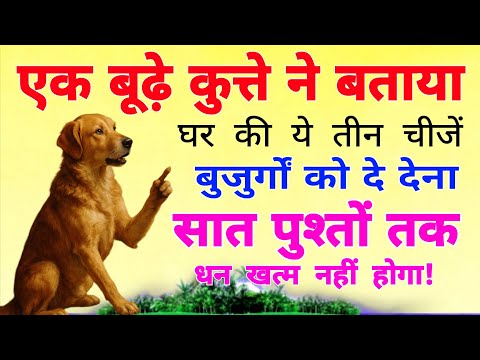 एक बूढ़े कुत्ते ने बताया घर की यह तीन चीज बुजुर्गों को दे देना, सात पुश्तों तक धन खत्म नहीं होगा!