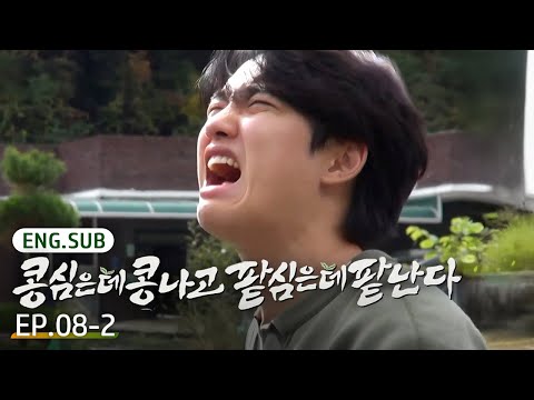 [K-Content] Kyungsoo screamed after eating THIS?!😱 | GreenBeanRedBean EP.8-2 #Engsub