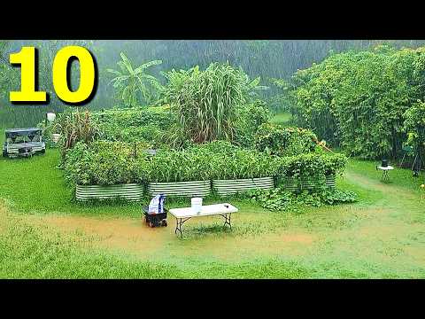 10 UNSTOPPABLE Edible Plants That THRIVE in Harsh Conditions!