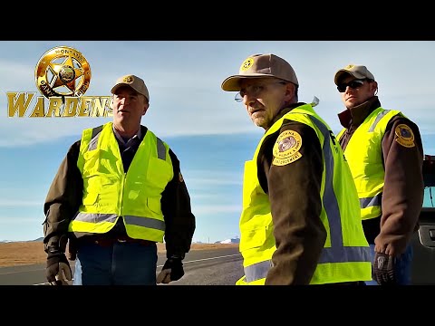 Wardens: Operation Checkpoint | FD Real Show