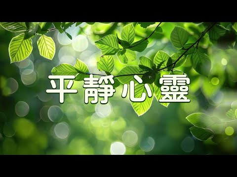 Calm Your Mind: Soft Music and Natural Sounds ~ Meditation, Relaxation, Sleep, Spa, Study