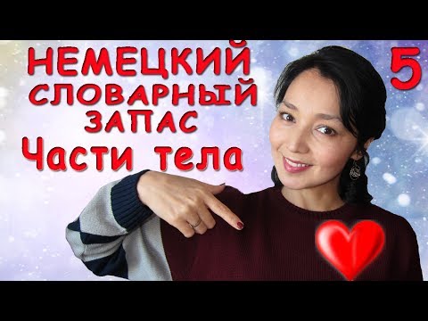 5. German Vocabulary. Body Parts