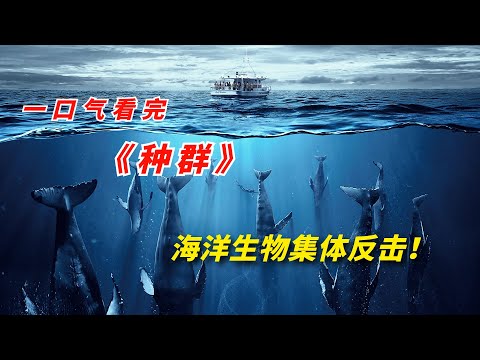 【阿奇】未知智慧种群操控海洋袭击人类，一口气看完2023年灾难惊悚片《种群》