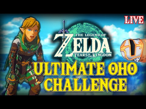 We're running it back, I have a plan (ULTIMATE One-Hit Obliterator Mod Challenge)