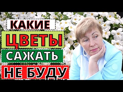 ЦВЕТЫ  в кашпо, сажать которые НЕ БУДУ в следующем сезоне