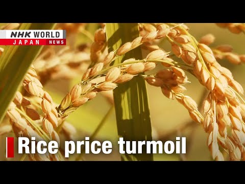 Japan rice farmers baffled by government policy flip-flopーNHK WORLD-JAPAN NEWS