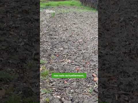 Pluie, tempête, inondations... la météo n'a pas été de tout repos ces derniers temps.

Notre cher