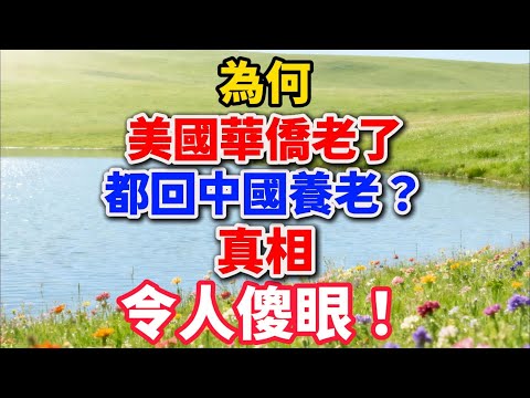 为何美国华侨老了，都回中国养老？真相令人傻眼！【樂活暮年】#晚年生活 #海外生活 #养老观念 #亲情故事 #人生感悟 #退休规划 #家庭关系 #乐活暮年