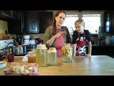 Apple Scrap Vinegar, Pie & Applesauce ~ When Your Storage Apples Go Soft
