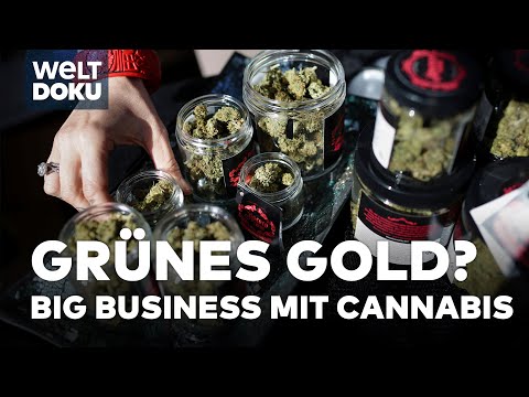 CANNABIS IN KALIFORNIEN: Humboldt County und der Preis der Legalisierung Marihuana | WELT Doku