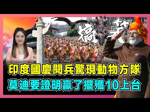 印度國慶閱兵驚現動物方隊，莫迪要證明贏了擺殲10上台！｜揭秘57空戰真相，辛杜爾編隊失敗組合！｜黑鷹反無人機、駱駝高原運輸，歐盟代表都看傻眼！【屈姬主播 EP356】