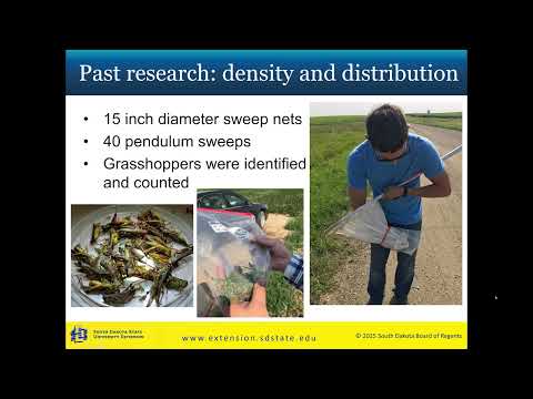 2025 Crop Hour: January 21 - Soybean Insect Research Update