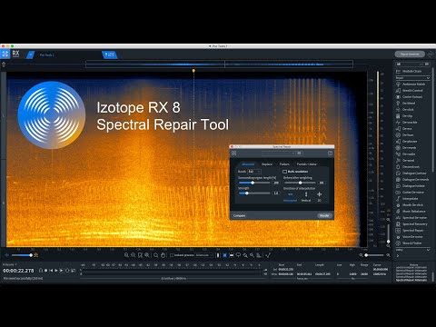 Izotope RX8 Spectral Repair Tool - Explained in detail