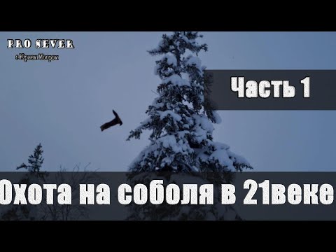 Охота на соболя в 21 веке. Промысел. Охотники промысловики. Счастливые люди Туруханский район.