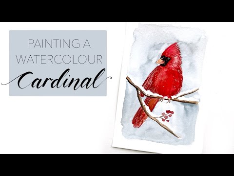How To Paint A Watercolour Cardinal