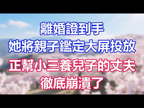 離婚證到手，她將親子鑑定大屏投放，正幫小三養兒子的丈夫，徹底崩潰了