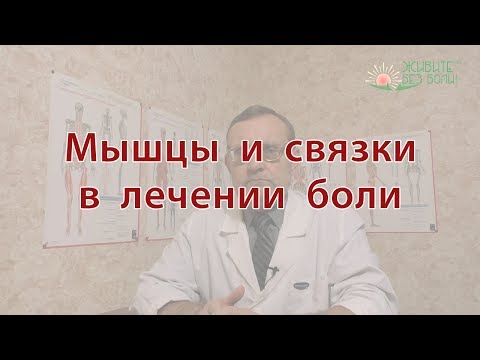 Мышцы и связки в лечении боли